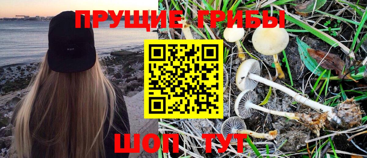 Галлюциногенные грибы Psilocybine cubensis  Вход с VPN  Жуковский 